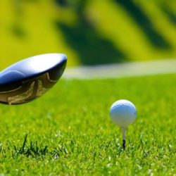 From fairways to copyright claims: understanding the BIRDIE Act
