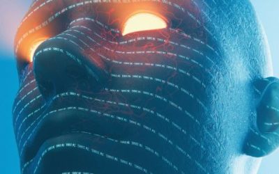Double vision and long-lost brand twins – now, what? What to do when bots start playing trademark lawyer