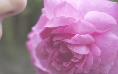 Scenting the future: how India’s first smell mark application aligns with global jurisprudence