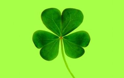Trademark dispute resolved: ‘clover’ and ‘clever’ are distinct in Russian markets