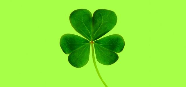 Trademark dispute resolved ‘clover’ and ‘clever’ are distinct in Russian market